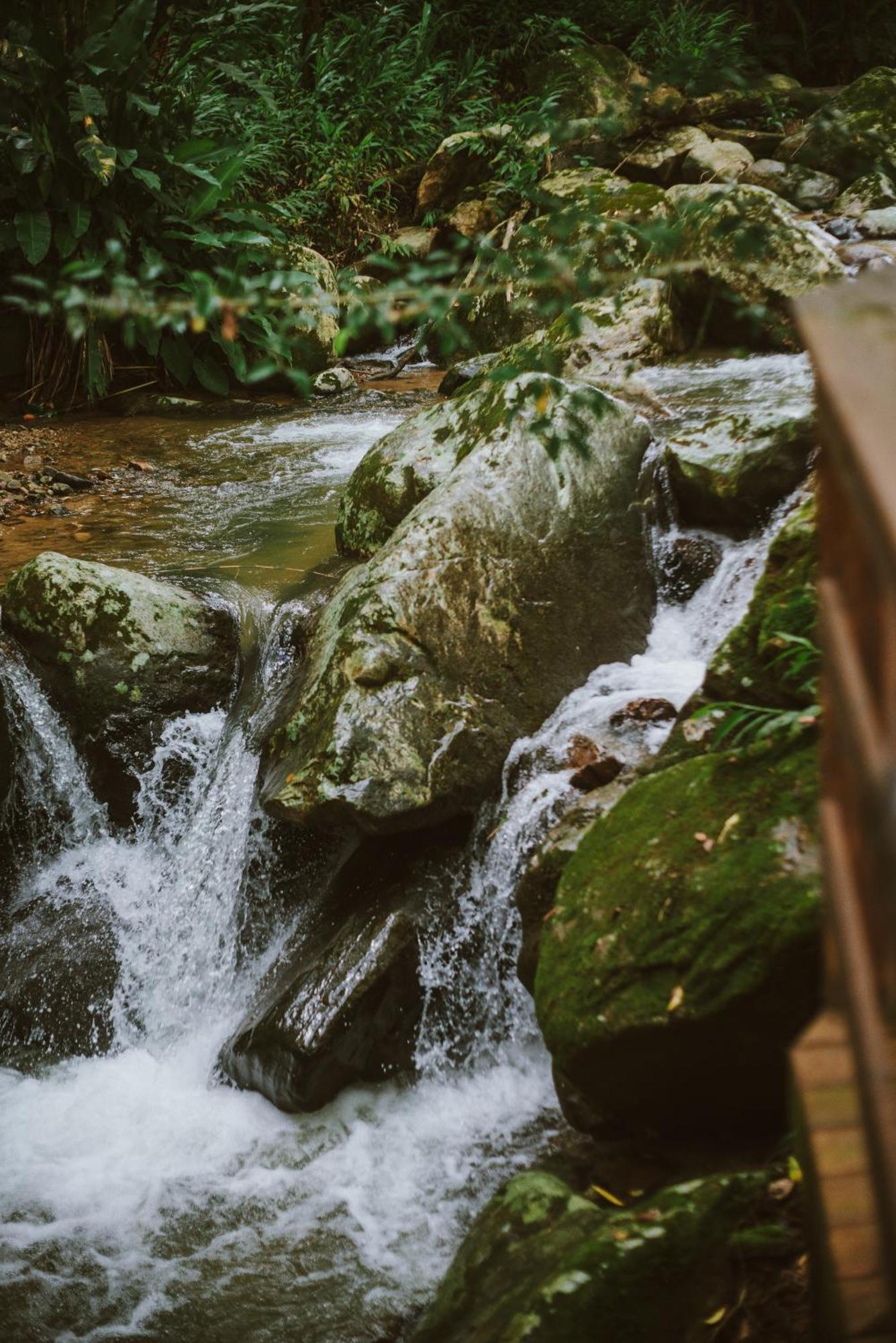 Morada Encanto Da Cachoeira Aguas Mornas المظهر الخارجي الصورة